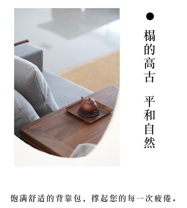 Arhat bed sofa bed(图7)